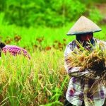 Hari Ini Pameran Peternakan Internasional Indo Livestock Dibuka