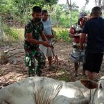 Astra Kembangkan 750 Desa Binaan di Seluruh Indonesia