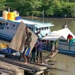 Personel TNI AL Turut SAR Pencarian Korban Buaya