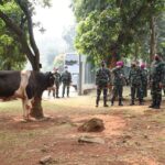 TNI AL Kerahkan 3 KRI dan 2 Pesud SAR Kapal Tenggelam di Kalimantan