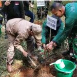 Satgas Pamtas RI-PNG Yonif 126/KC Gelar Sweeping Kendaraan Pelintas di Perbatasan