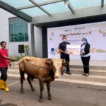 Hadirkan Program Guru Muda Garda Depan, YPA-MDR Tingkatkan Kualitas Pendidikan Kepada Lebih Dari 2000 Siswa Binaan di Rote NDA