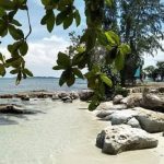 Kapal Perang Perancis LHD Dixmude dan La Fayette Singgah di Jakarta