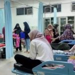 Pelindo Regional 3 Berhasil Raih Kinerja Positif Semester 1 2023, Angkutan Hewan Naik Jadi 45%