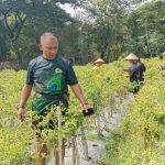Syaugi Alaydrus Jadi Kapten Tim Pemenangan Anies-Cak Imin
