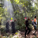 80% Korban Tewas Serangan Israel Merupakan Anak-anak