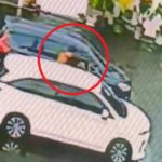 Antea Putri Turk, Cicit W.R. Soepratman, Tampil di Dua Pulau dalam Satu Hari untuk HUT ke-80 RI