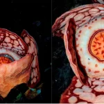 Museum NTB Dinobatkan sebagai Museum Inspiratif 2025