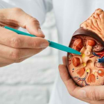 Panglima TNI Pimpin Peringatan HUT Ke-80 Marinir: Pengukuhan Komitmen Jaga Kedaulatan dan Validasi Organisasi Bersejarah