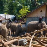 Diskusi KPU Bahas Sinergi Pilar Demokrasi