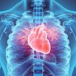 Ngeri! Mobil Pengangkut MBG Terobos SD Kalibaru, 20 Korban Dilarikan ke Rumah Sakit