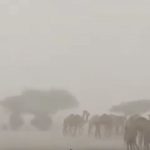 Anti Tertipu Hoax! Ini 5 Cara Membedakan Video AI dan Asli