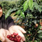 Tinjau Rusun Subsidi Kemayoran, Menteri Ara Tegaskan Aspirasi Warga Jadi Kunci Kebijakan Hunian Perkotaan