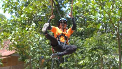 Flyingfox-Banyuwangi