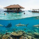 Lupakan Pantai Sejenak! 5 Spot ‘Healing’ di Wisata Songgon Banyuwangi yang Sejuknya Kebangetan