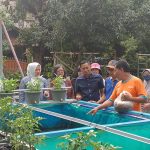 Festival Budaya Imlek Cap Go Meh 2026 di Singkawang