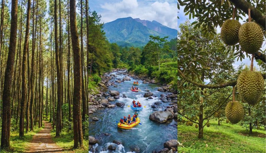 Wisata Songgon Banyuwangi