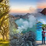 Jangan Asal Jepret! Ini 7 Spot Rahasia di Wisata Baluran Banyuwangi untuk Hasil Foto Sekelas National Geographic