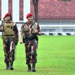 Harga LPG Nonsubsidi Naik, Ini Daftar Harganya!