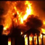 Peternakan Sapi Perah Terbesar RI Akan Dibangun di Jateng