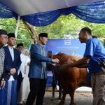 Demokrat Salurkan 63 Sapi Kurban untuk Masyarakat di Idul Adha 1447 H