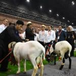 JAKIM 2026 Tunjuk Le Minerale Sebagai Official Mineral Water