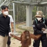 Rekonstruksi Kampung Adat Sade Diminta Tetap Jaga Budaya Sasak